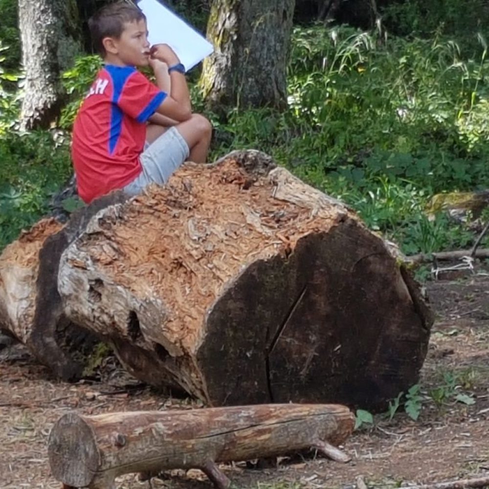 atelier je dessine la forêt