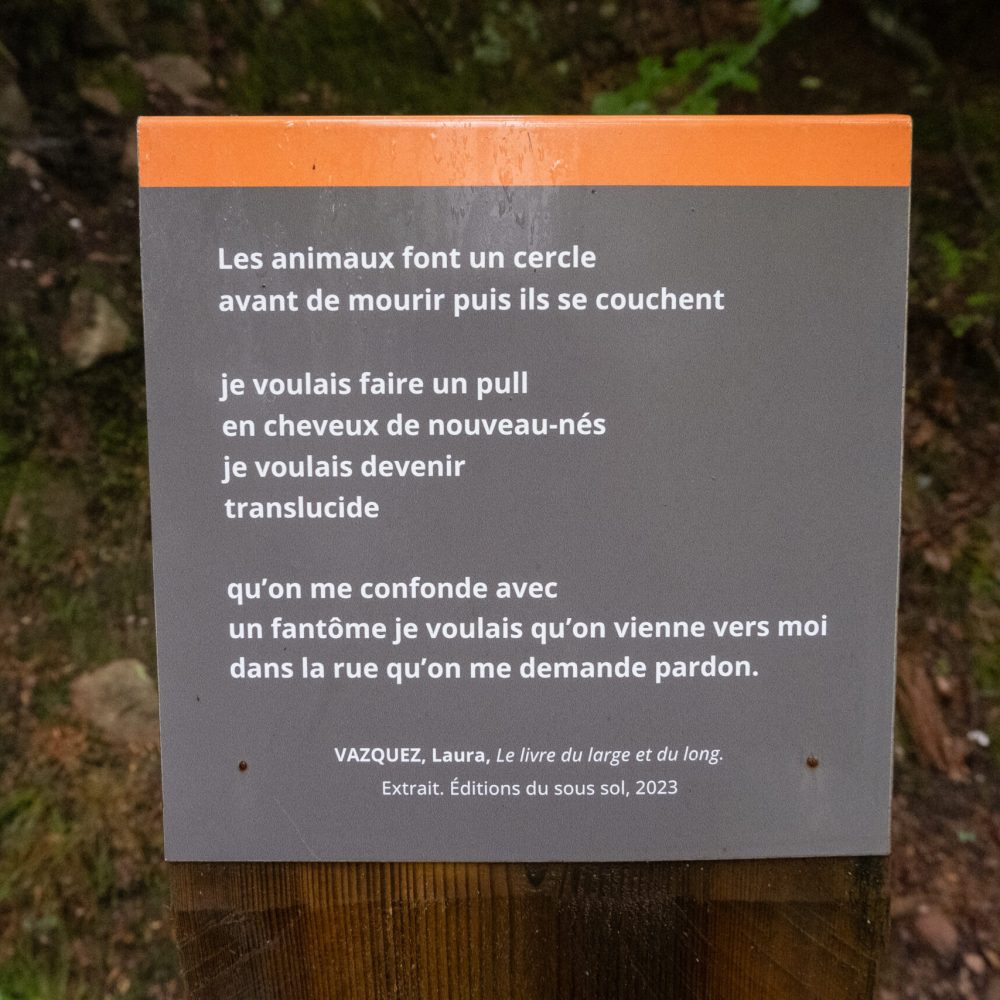 Laura Vazquez - Le livre du large et du long