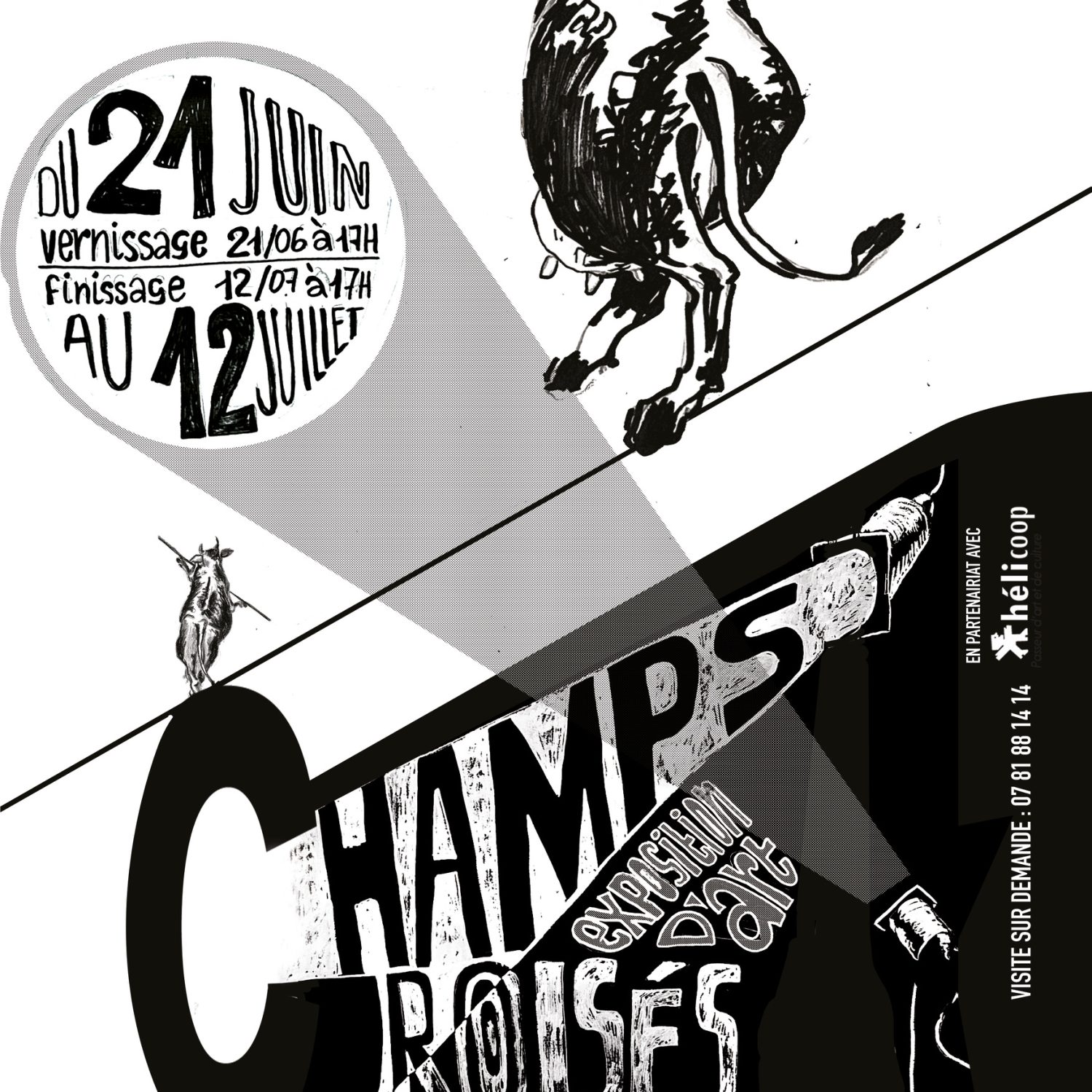 affiche Champs croisés expo Ruedi