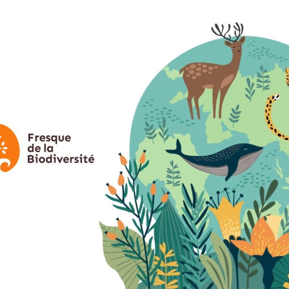 fresque-de-la-biodiversite-