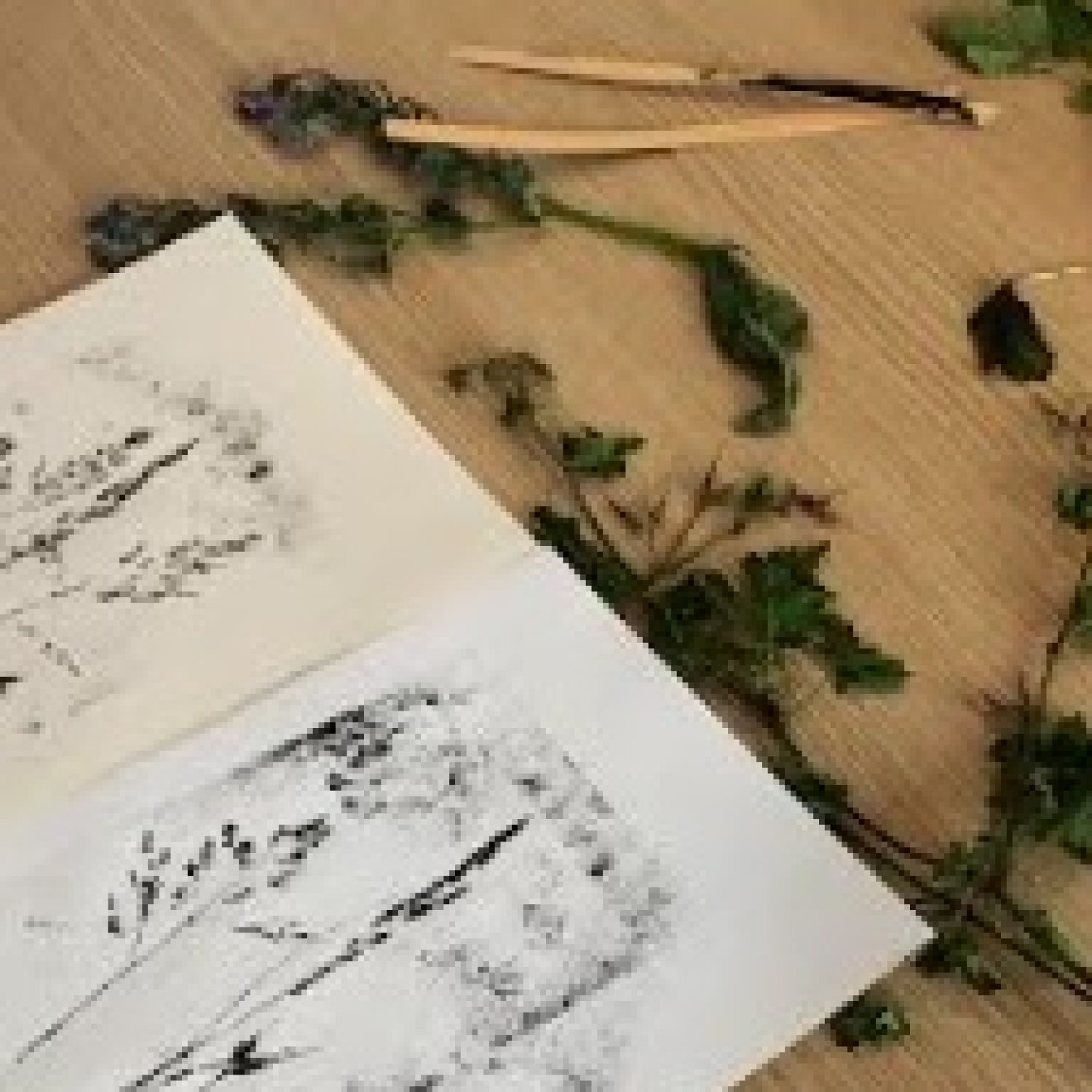 impression végétale